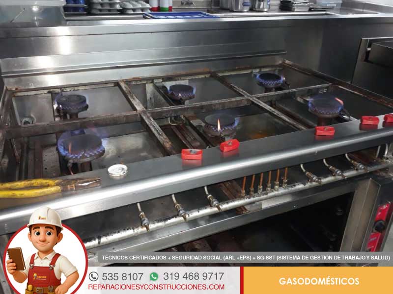 Mantenimiento de gasodomesticos