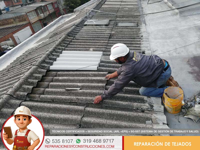 tejados y cubiertas